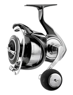 Daiwa Certate SW
